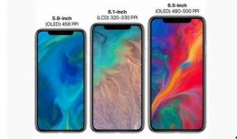 苹果价格最新爆料图今天,行情波动，市场动态一览